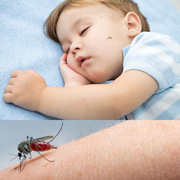 Nhà có trẻ nhỏ mẹ đừng quên sử dụng phương pháp này để đuổi muỗi nhé !